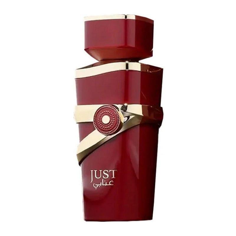 Fragrance World Just Anabi edp 100ml Mujer (Marron) - Fragrance World - Default Title - Perfumisimo